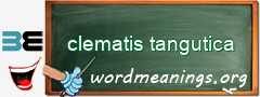 WordMeaning blackboard for clematis tangutica